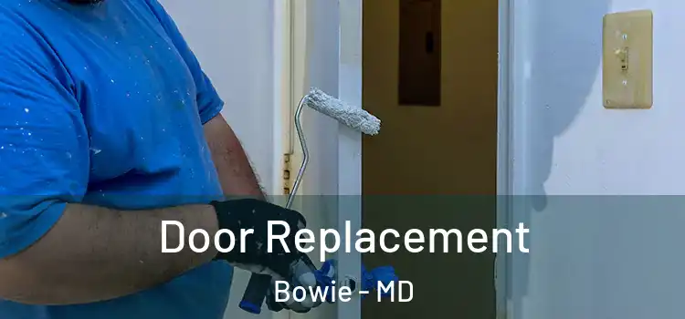  Door Replacement Bowie - MD