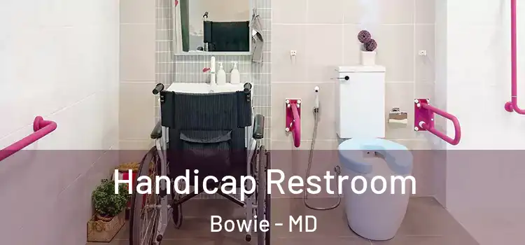  Handicap Restroom Bowie - MD