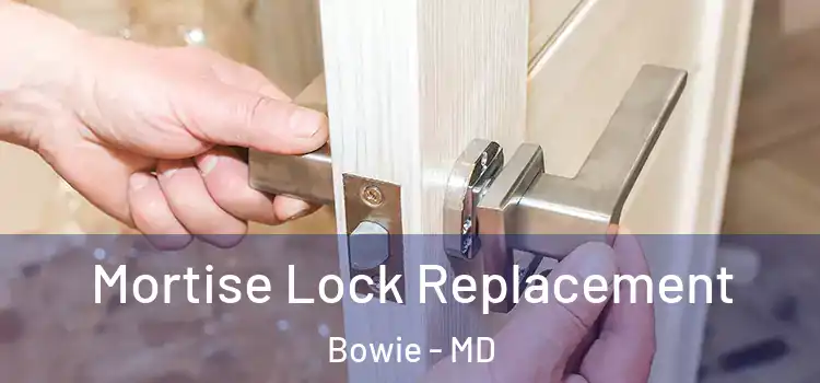  Mortise Lock Replacement Bowie - MD